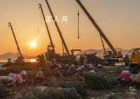核污水排海后的生蚝养殖者 有人提前卖掉有人投入百万