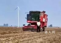 央媒评禁止机械设备收花生:瞎指挥