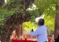景区回应男子掐掉千年银杏树叶 不允许银杏树是镇县之宝抓到会被罚款