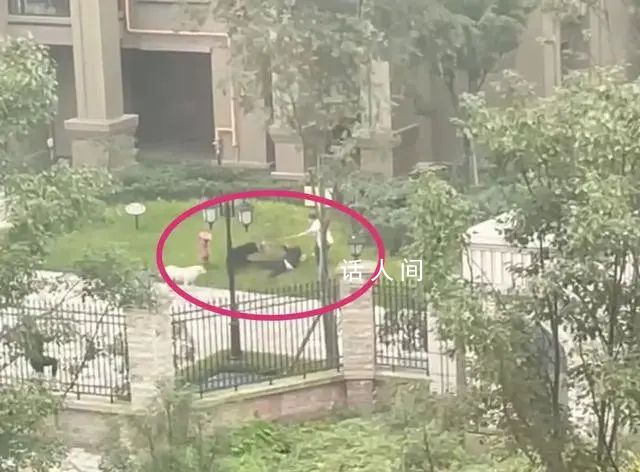央媒:女童被咬有六大疑问需要解答
