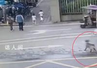 四川又一恶犬追咬2名幼童 被围观群众和物业人员赶跑
