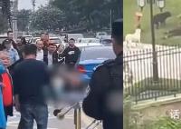 大型犬主人被孩子家长砍伤?假的