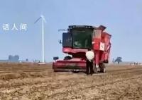 五谷丰登粮满仓 全国多地秋种忙