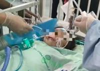 被狗咬女童方律师:狗主人被刑拘