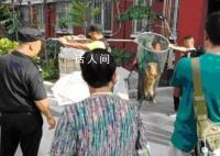 合肥:宠物狗出门不拴绳一律捕捉