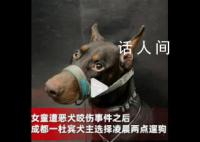 成都一养狗人选择凌晨2点遛狗 选择避开人群给他人安全感