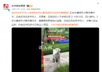 狗咬女童事件:白狗未咬人已被领回