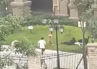 宠物协会人士:建议养犬前先考试