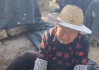 60箱蜜蜂被指遭人投毒一夜死光 一位老人坐在地上捧着蜜蜂的尸体痛哭