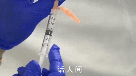 屁股针为什么消失了 为什么现在屁股针少了