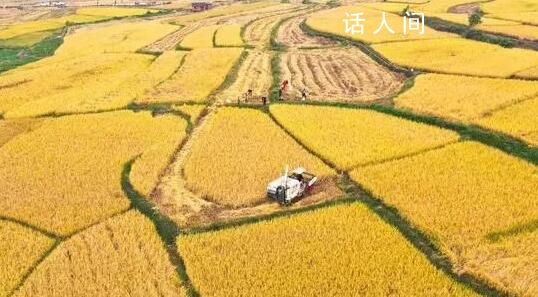 丰收的颜色你见过吗?一起体验惊艳大地的丰收色彩