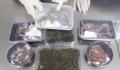 男子携40条蝾螈8条蛇3只蜥蜴入境 已移交海关后续处置部门处理