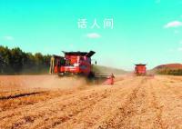 全力以赴保障粮食丰收 全国秋粮收获已过七成