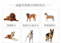 这些养犬法律底线要清楚 希望大家依法养犬杜绝此类事件再次发生