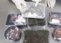 男子携40条蝾螈8条蛇3只蜥蜴入境 已移交海关后续处置部门处理