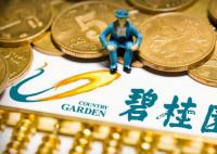 碧桂园辟谣创始人父女已离境 目前在国内正常工作