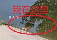 河里惊现鳄鱼 北京警方回应