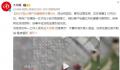 警方回应女子产后疑被婆家逼死 背后真相令人震惊