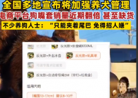 狗嘴套销量近期倍增 部分店铺卖断货