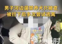 郑州被抓法斗已回家 主人被罚5000元