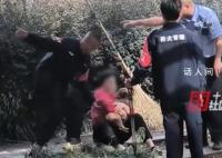 媒体评“不拴狗绳一律捕捉” 要依法还要顶住压力