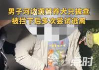 官方辟谣郑州法斗主人被罚5千 称还在走程序