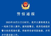 男子当街刺伤女友后自残 2人均死亡