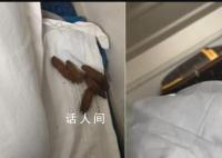 男子在卧铺发现“排泄物”样异物 该旅客随后再次确认又疑似槟榔