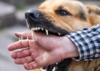 狂犬病潜伏期长达十几年?别信