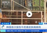 韩国确诊多例牛疙瘩皮肤病病例 引发了韩国社会的高度关注