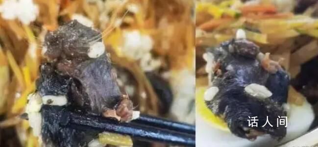 涉鼠头事件两地政府被约谈 环环相扣压实校园食品安全责任