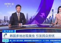 臭虫入侵韩国多地 引发了民众不安