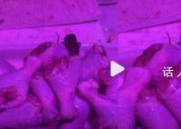 女子买菜看有老鼠狂啃食鸡腿 看到后感觉很脏