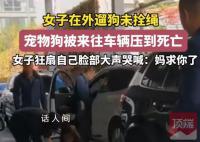未拴绳的狗被车压死 主人扇脸大哭