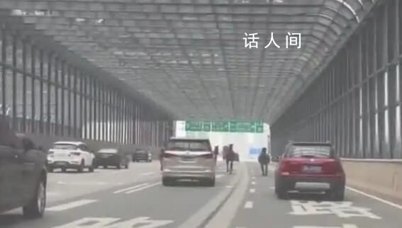 长沙5匹马上高架车道狂奔 目前已经处理好