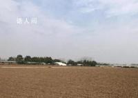捡花生身亡老人家属回应恶评 死者生前为人和善