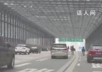 长沙5匹马上高架车道狂奔 目前已经处理好