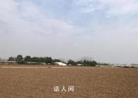 被卷入旋耕机老太生前为人和善 听说花生已收完还剩些可以捡