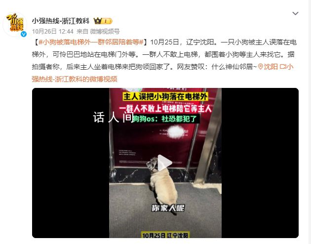 小狗被落电梯外一群邻居陪着等 网友赞叹：什么神仙邻居