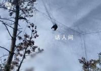 国家级保护区山上遍布捕鸟网 全面开展集中清理整治非法猎捕候鸟行动