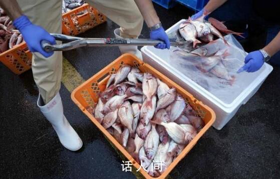 日本:9月对华水产品出口额减少99%