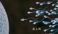 科学家:精子运动违背牛顿第三定律