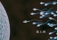 科学家:精子运动违背牛顿第三定律