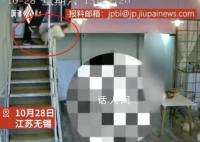 小孩在猫咖被吓哭父亲将猫踹下楼 事件引发热议