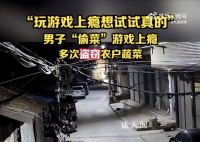 男子偷菜游戏上瘾多次盗窃蔬菜 已被公安机关依法采取刑事强制措施