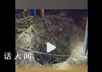 男子半夜遛狗连人带狗掉井里 没想到井盖没有盖