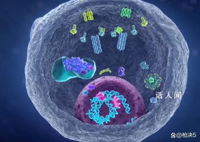 科学家找到癌细胞的生死开关 可激活释放自毁信号