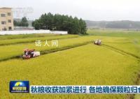 各地确保秋粮颗粒归仓 黑龙江秋收工作基本结束