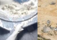 猫狗粮被针管投毒?官方辟谣