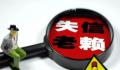 男子用儿子微信花110万只为规避执行 获刑6个月